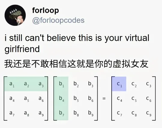 i still can't believe this is your virtual girlfriend